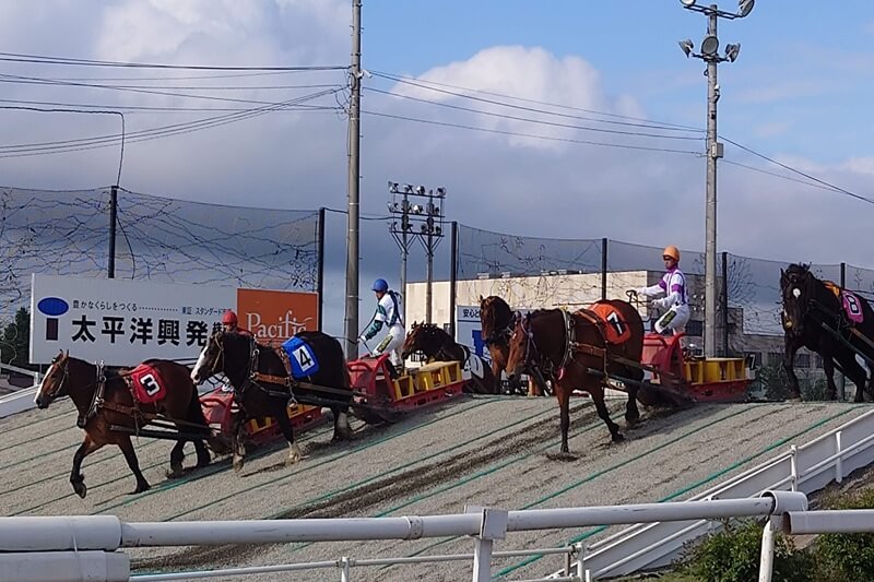 ばんえい競馬